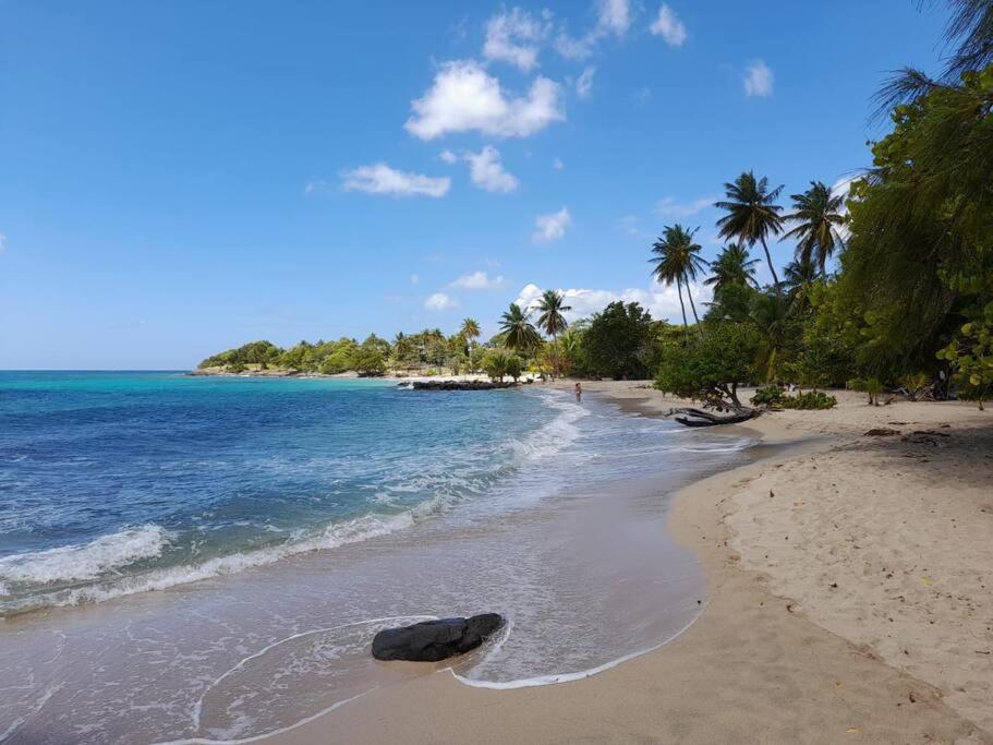 A Deux Pas De La Plage Sainte-Luce Ngoại thất bức ảnh